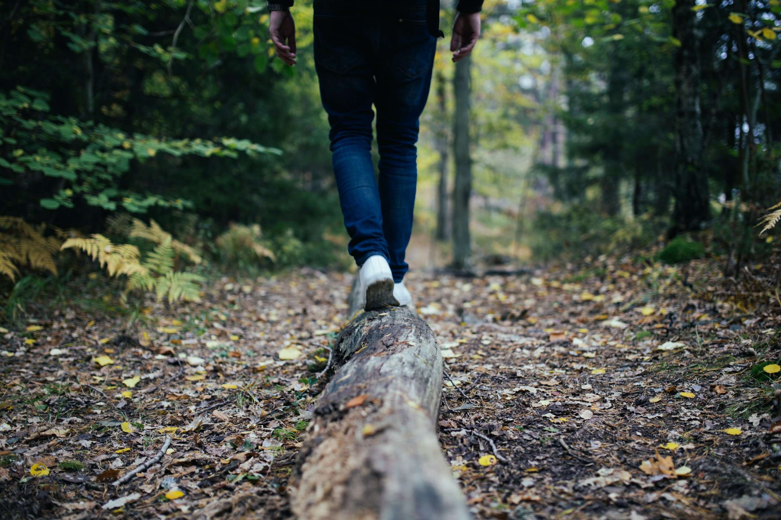 Picture of a person's legs balancing on a log in a forest